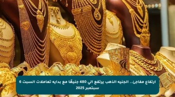 ارتفاع مفاجئ.. الجنيه الذهب يرتفع إلى 480 جنيهًا مع بداية تعاملات السبت 6 سبتمبر 2025